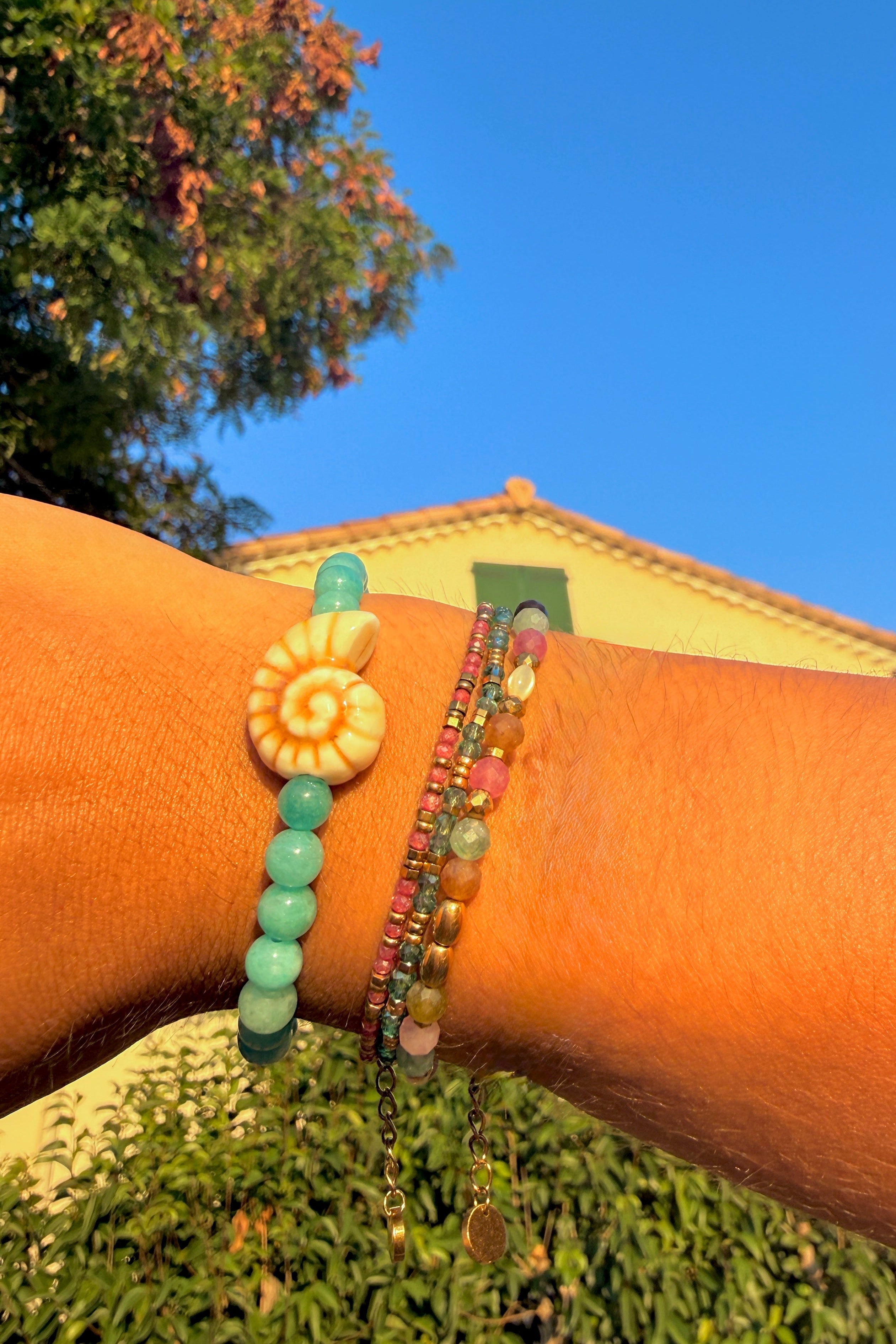 Bracelet Cauri