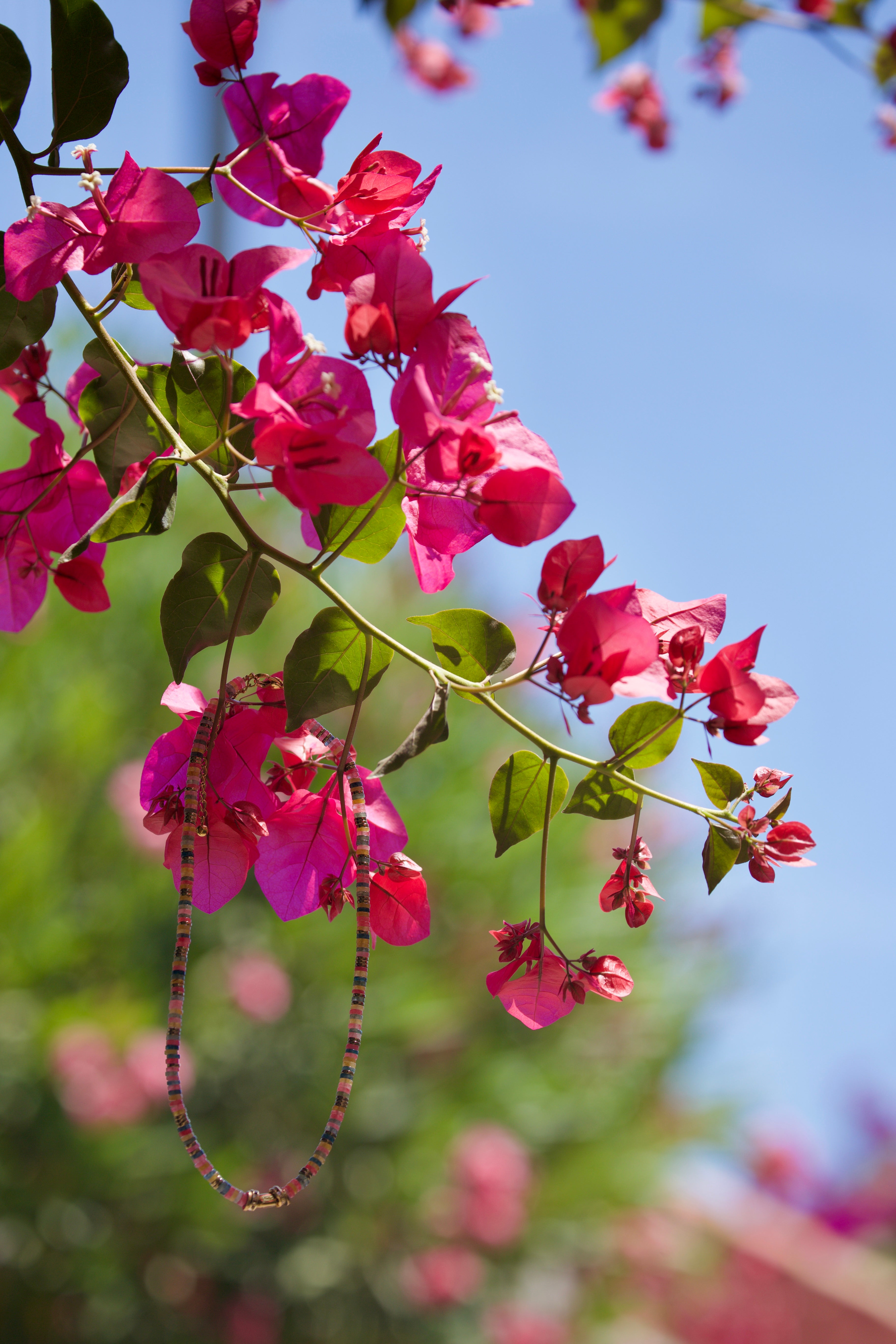 Collier Fleur