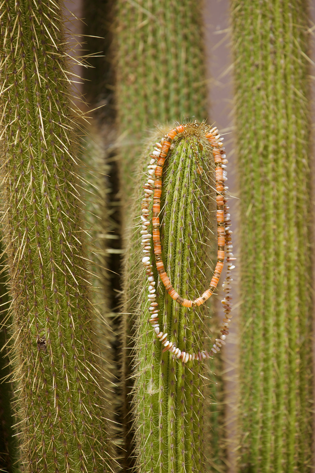 Collier Néroli